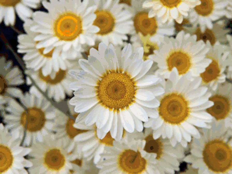 №158034 - цветы - предпросмотр