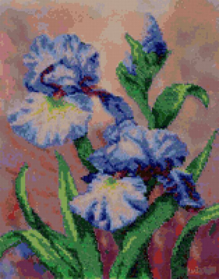 Ирисы - предпросмотр