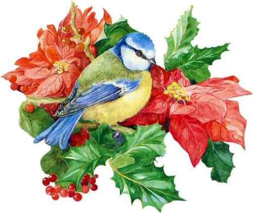 птица на цветах - цветок, птица - оригинал