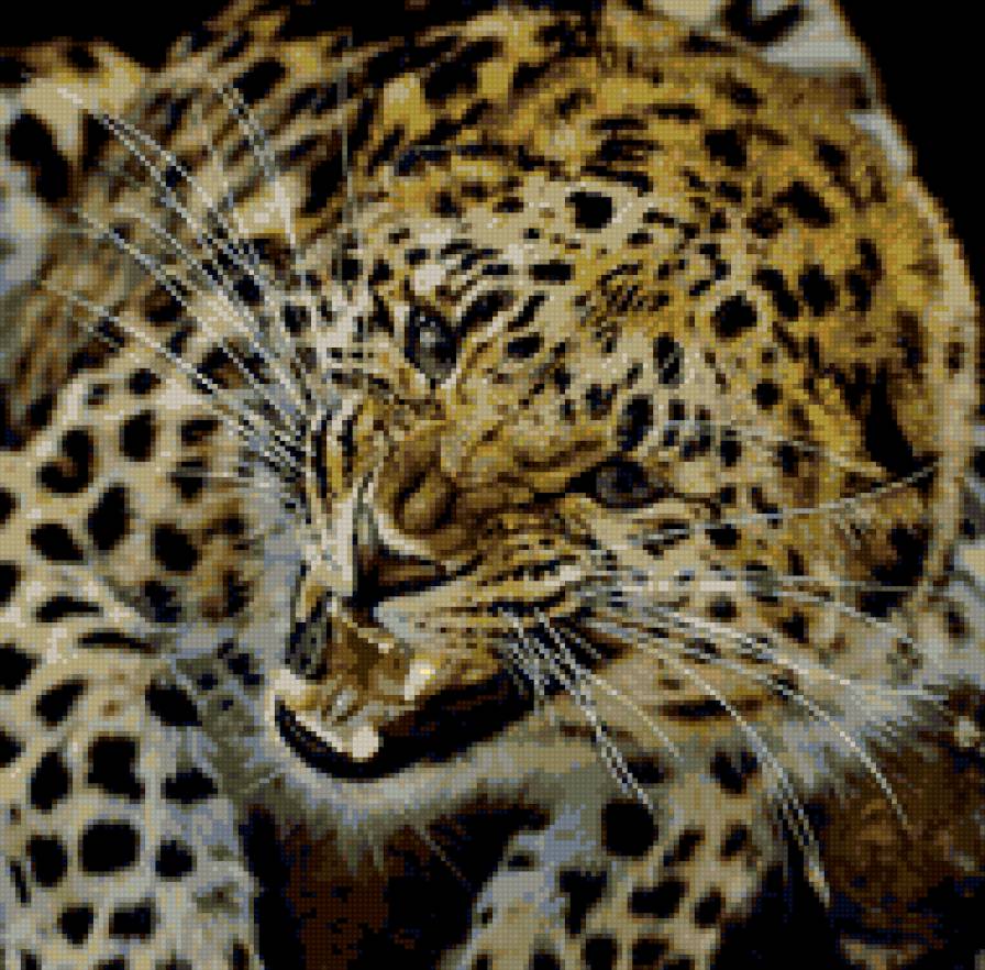 Звериный оскал - животные. леопарды - предпросмотр