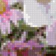 Предпросмотр схемы вышивки «Букет пионов» (№158229)