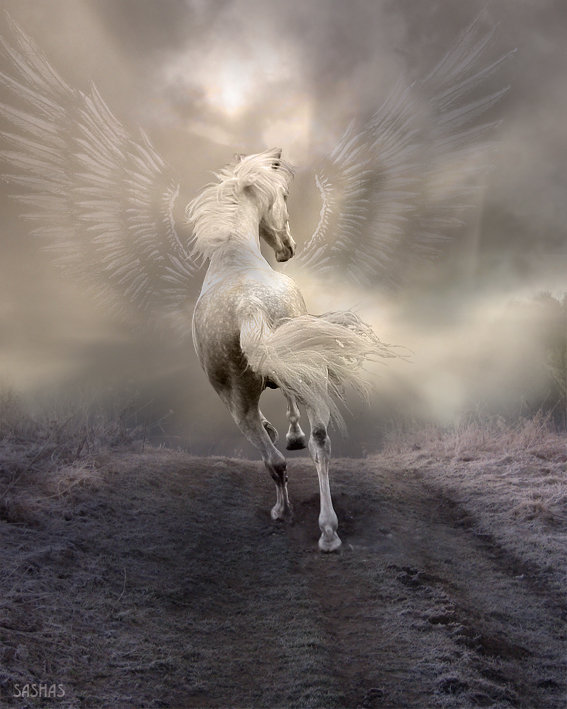 Пегас - фэнтези. животные - оригинал