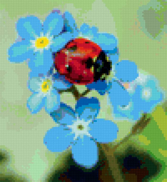 Незабудки с божьей коровкой - природа. цветы. - предпросмотр