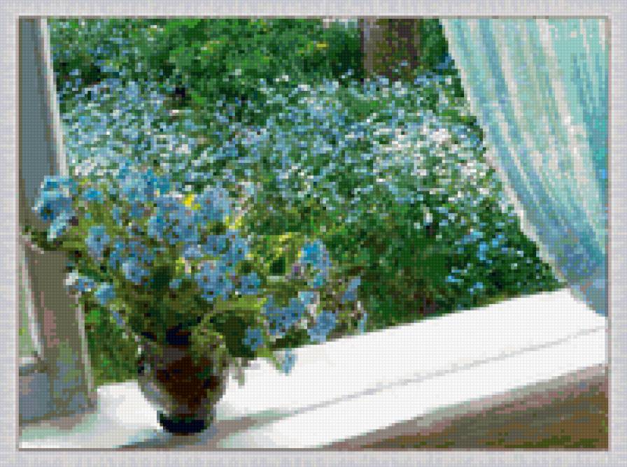 Букет незабудок - природа. цветы. - предпросмотр