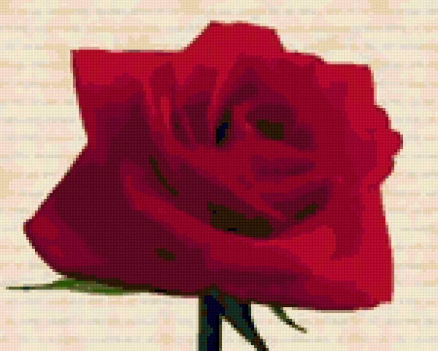 Роза - цветы - предпросмотр