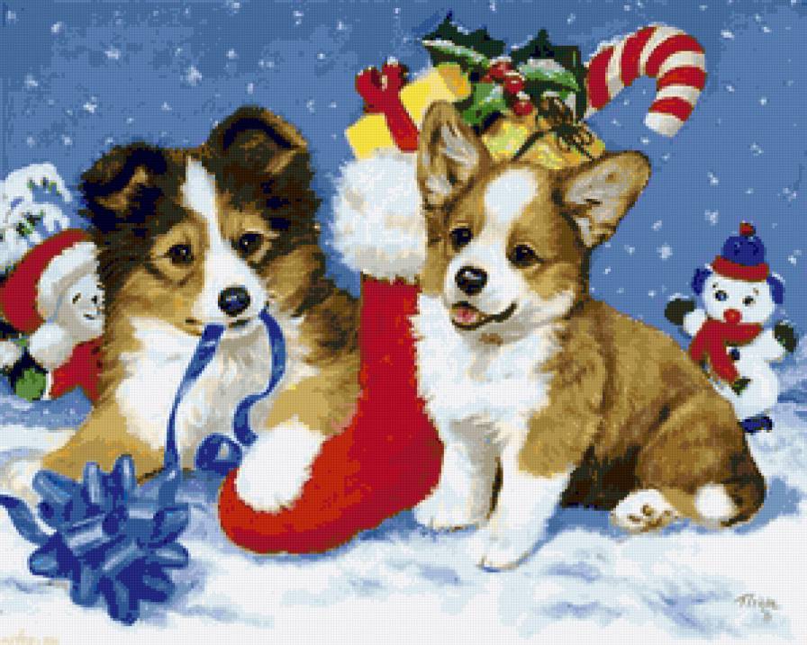 Щенки на Рождество - рождество, щенки, детки, новый год, малыши, собаки, подарки - предпросмотр