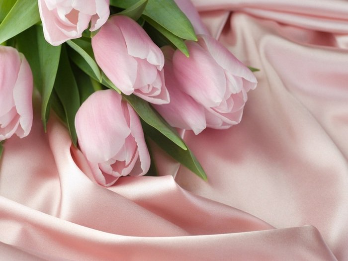 Розовые тюльпаны - букет, тюльпаны, атлас, цветы - оригинал