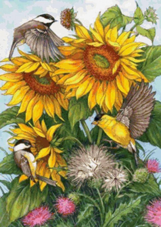 №158990 - цветы, подсолнух, птицы - предпросмотр