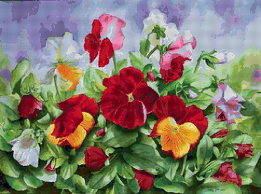 анютины глазки - анютины глазки - предпросмотр