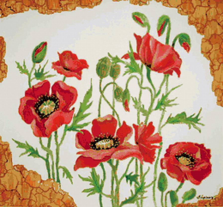 красные маки - маки - предпросмотр