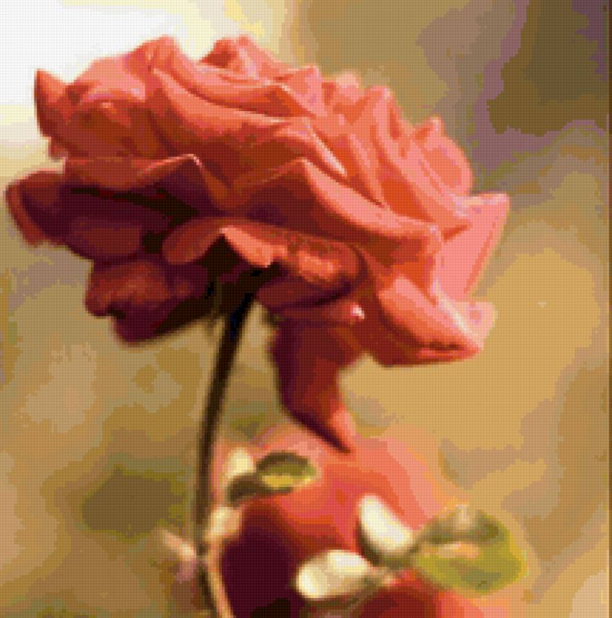 №159277 - розовые, розы, цветы - предпросмотр