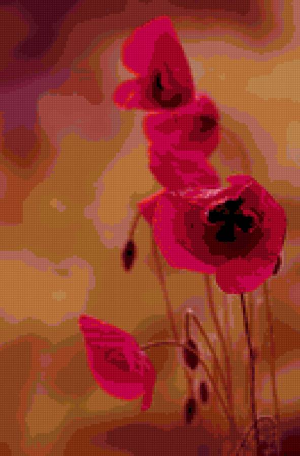 маки - предпросмотр