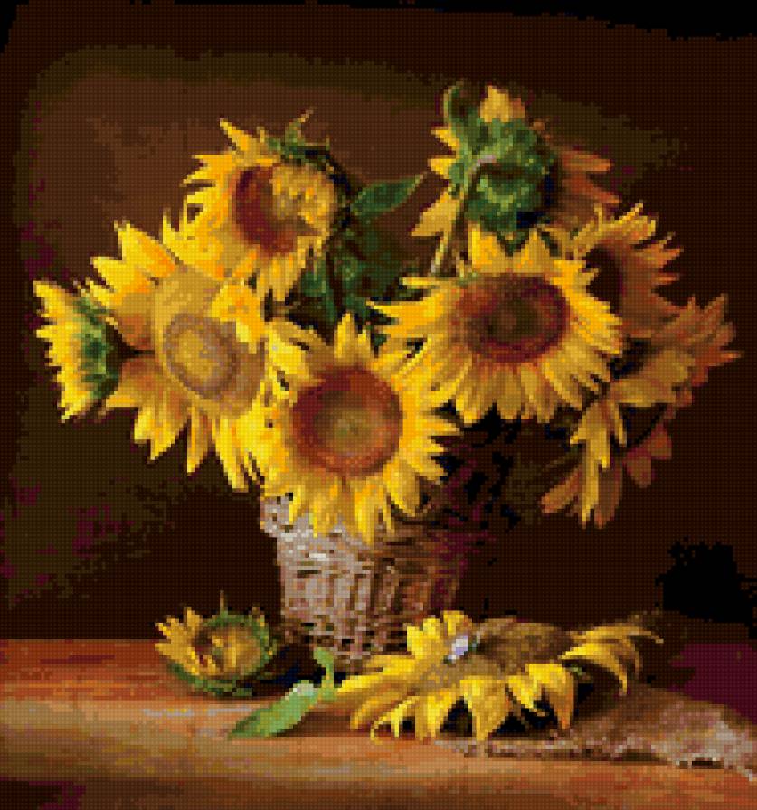 подсолнухи - предпросмотр