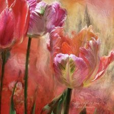 Схема вышивки «№159507»