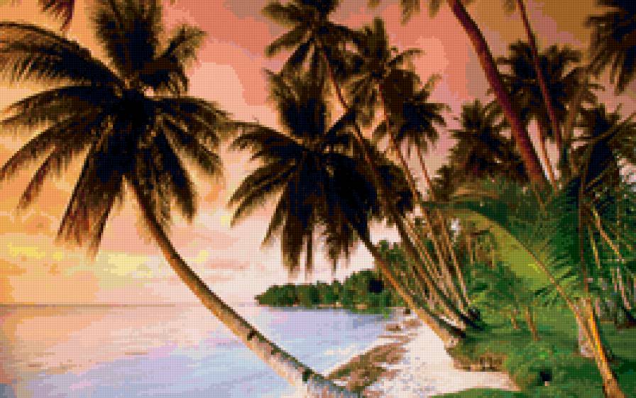 №159701 - закат, пляж, пальмы, океан, море, юг - предпросмотр