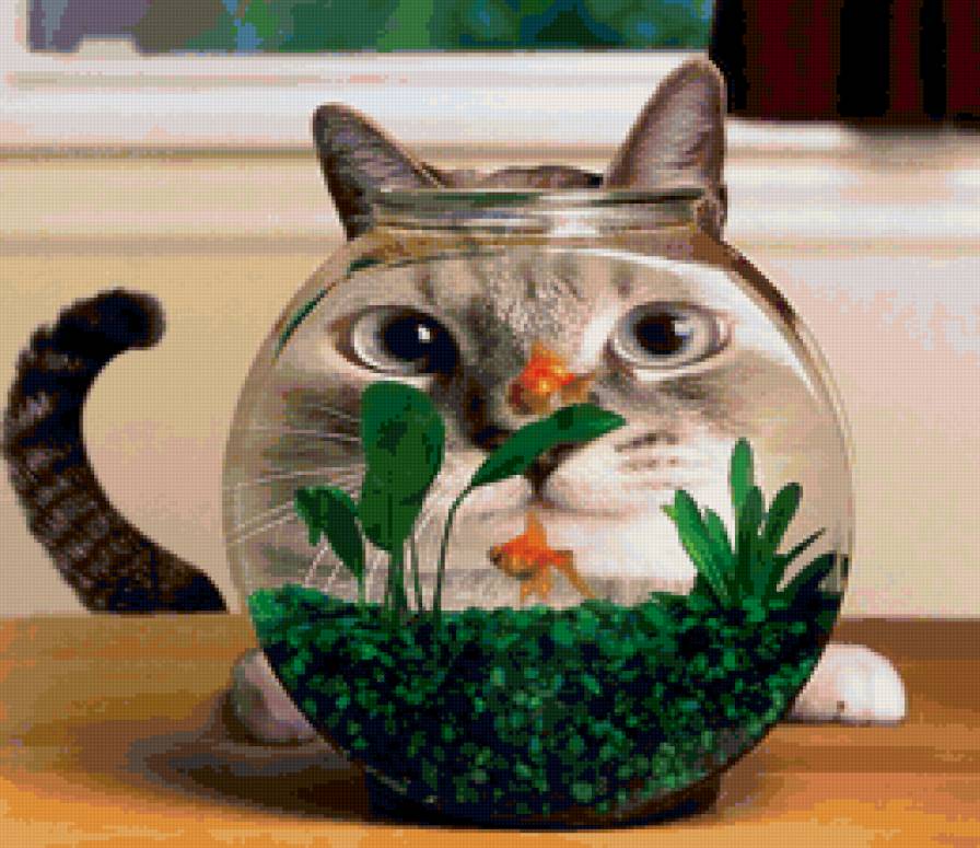 котяра - смешарики, рыбка, аквариум, котик, приколы - предпросмотр