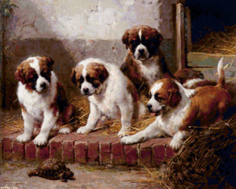 маленькие сенбернары и черепашка - пейзаж, щенки, животные, хоз двор, собаки - предпросмотр