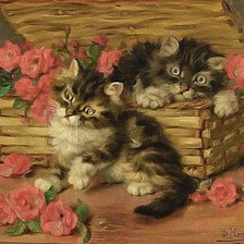 Котята в корзинке с розочками