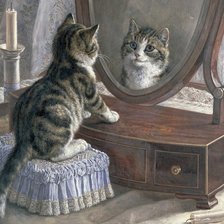 Схема вышивки «маленькая красавица»