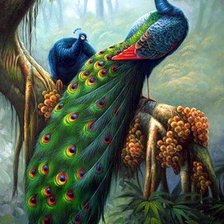 Схема вышивки «павлины»