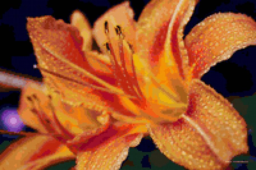 цветок - предпросмотр