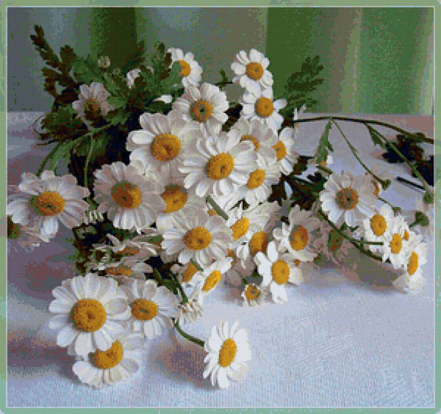 букет ромашек - ромашки - предпросмотр