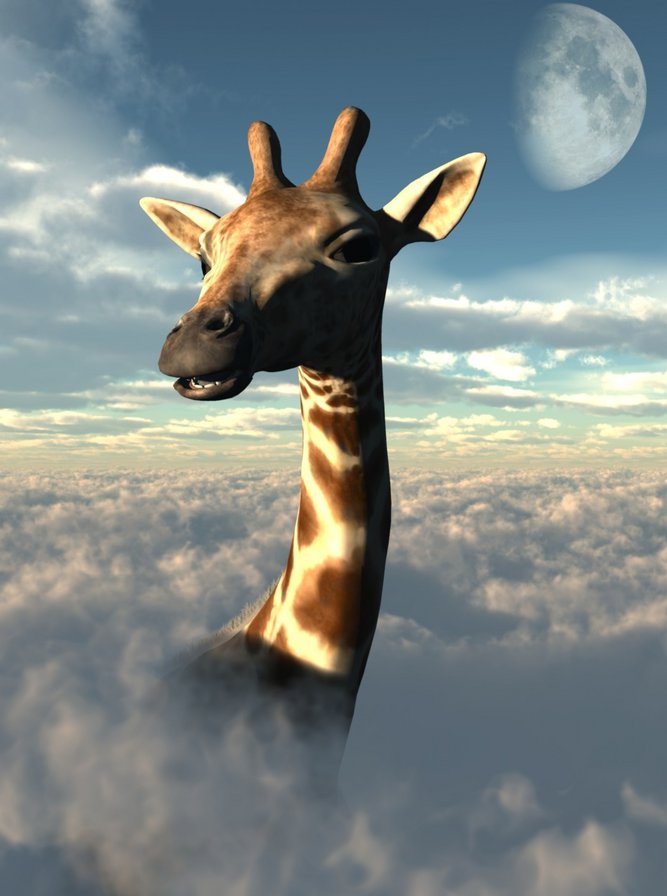 серия "стиль-жираф" - серия, небо, жираф, стиль, облака, животные - оригинал