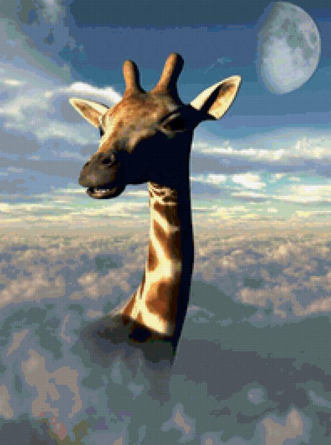 серия "стиль-жираф" - облака, серия, стиль, жираф, животные, небо - предпросмотр