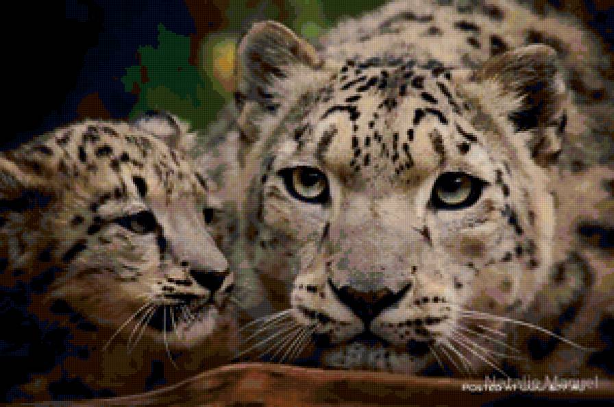 Животные - животные - предпросмотр