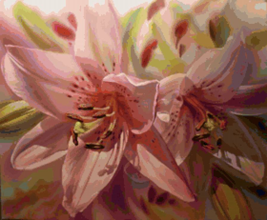 нежность королевской лилии - цветы - предпросмотр