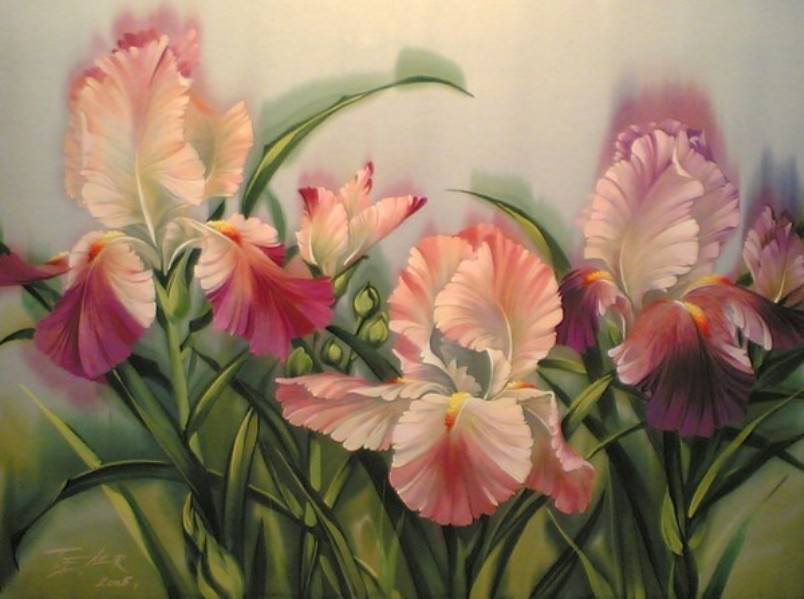 ирисы - цветы - оригинал