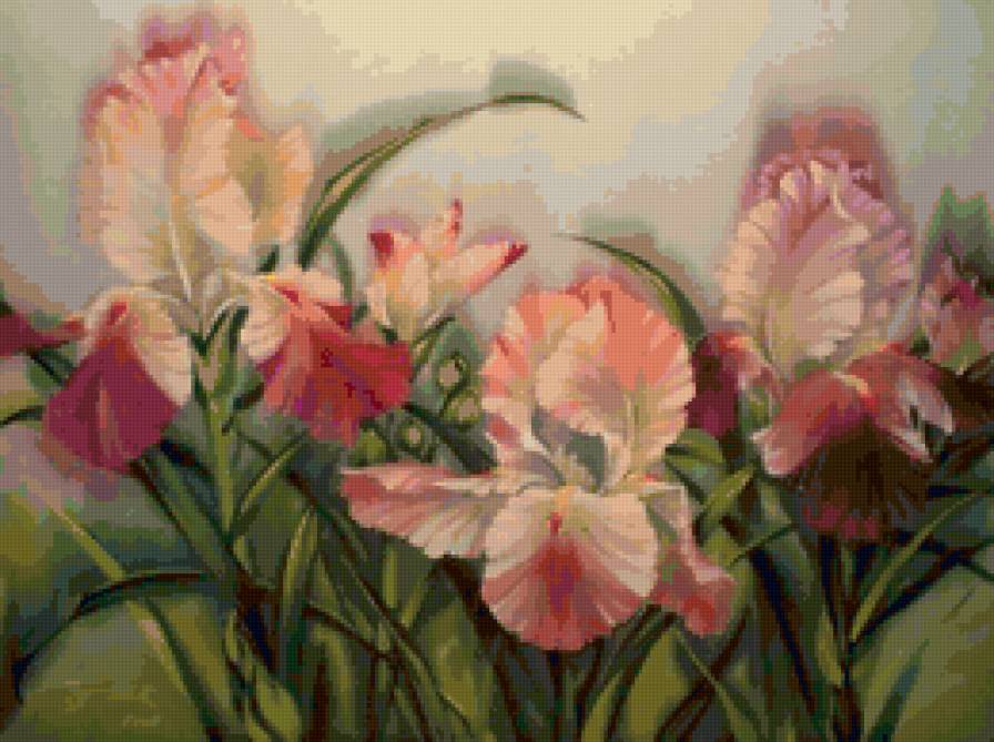 ирисы - цветы - предпросмотр