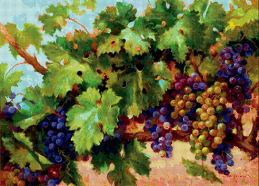 виноградная лоза - живопись, растения, цветы - предпросмотр