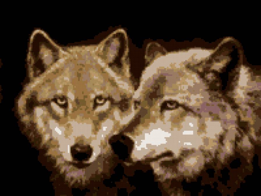 волки - предпросмотр