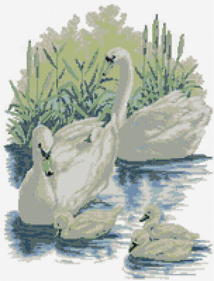 лебеди - предпросмотр