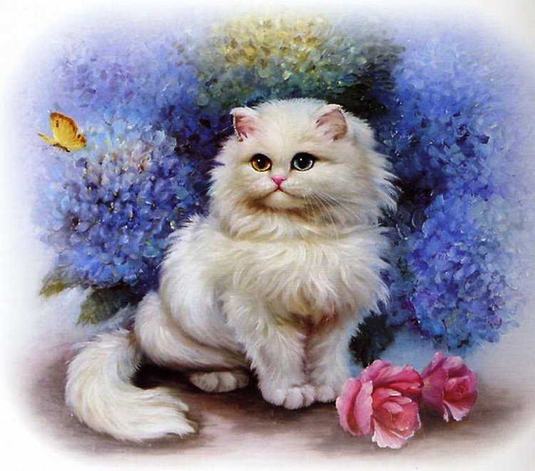 Кошечка - кошка, животные, кот - оригинал