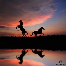 Схема вышивки «лошади»