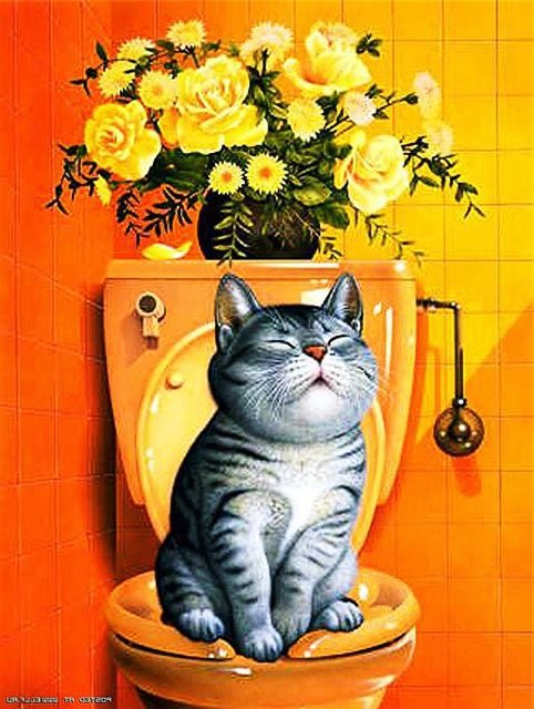 Котенок - кошка, кот, животные - оригинал