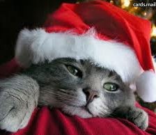 Схема вышивки «№161076»