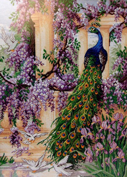 Павушка 1 - оригинал