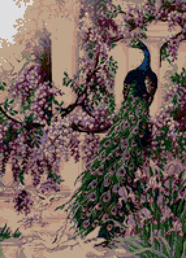 Павушка 1 - предпросмотр