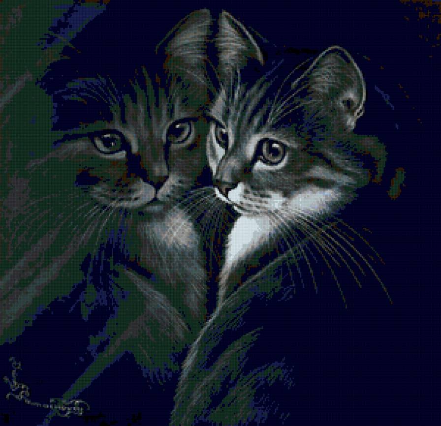 котик - кошка - предпросмотр