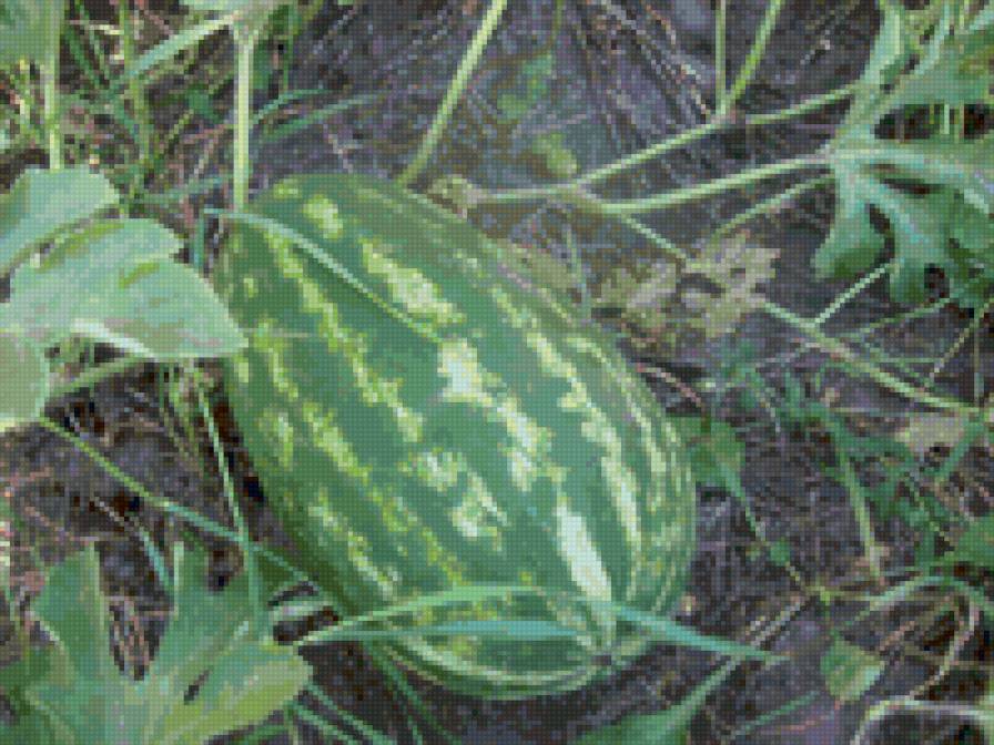 №161800 - предпросмотр