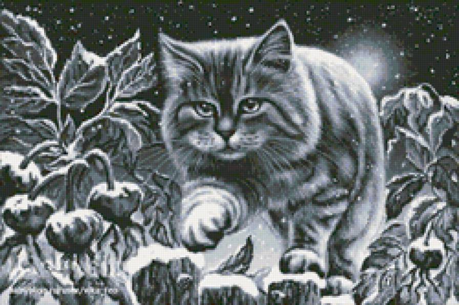 Ночная кошка... - ночь, кошка..., прогулка - предпросмотр