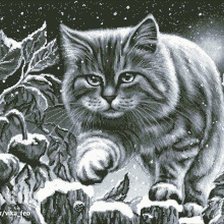 Оригинал схемы вышивки «Ночная кошка...» (№161947)