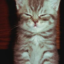 Схема вышивки «№162112»