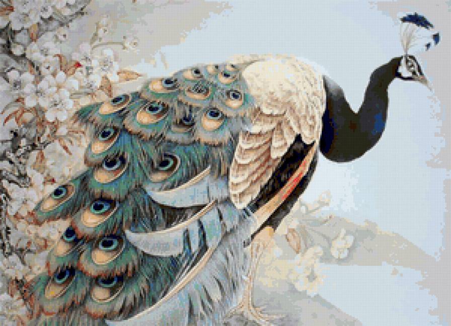 Серия "Павлины" - павлины, птица - предпросмотр