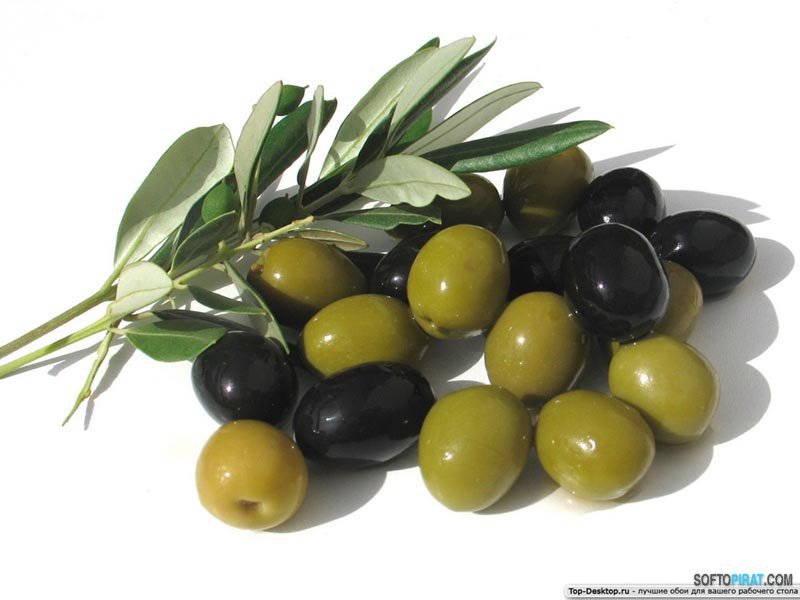 маслины - оригинал