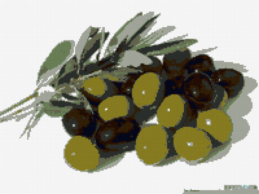 маслины - предпросмотр