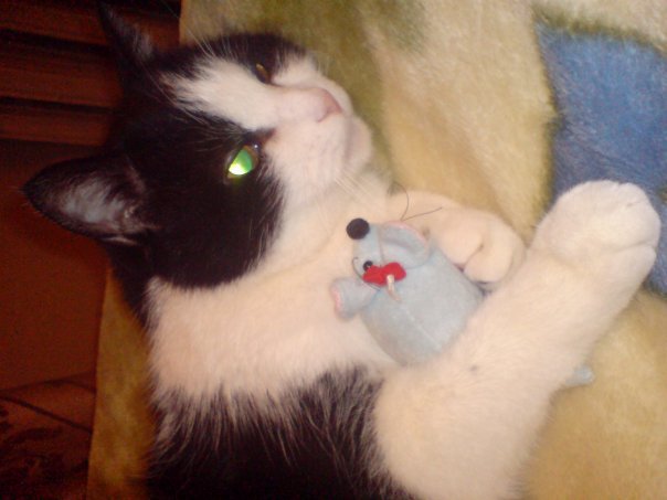 Вася - оригинал